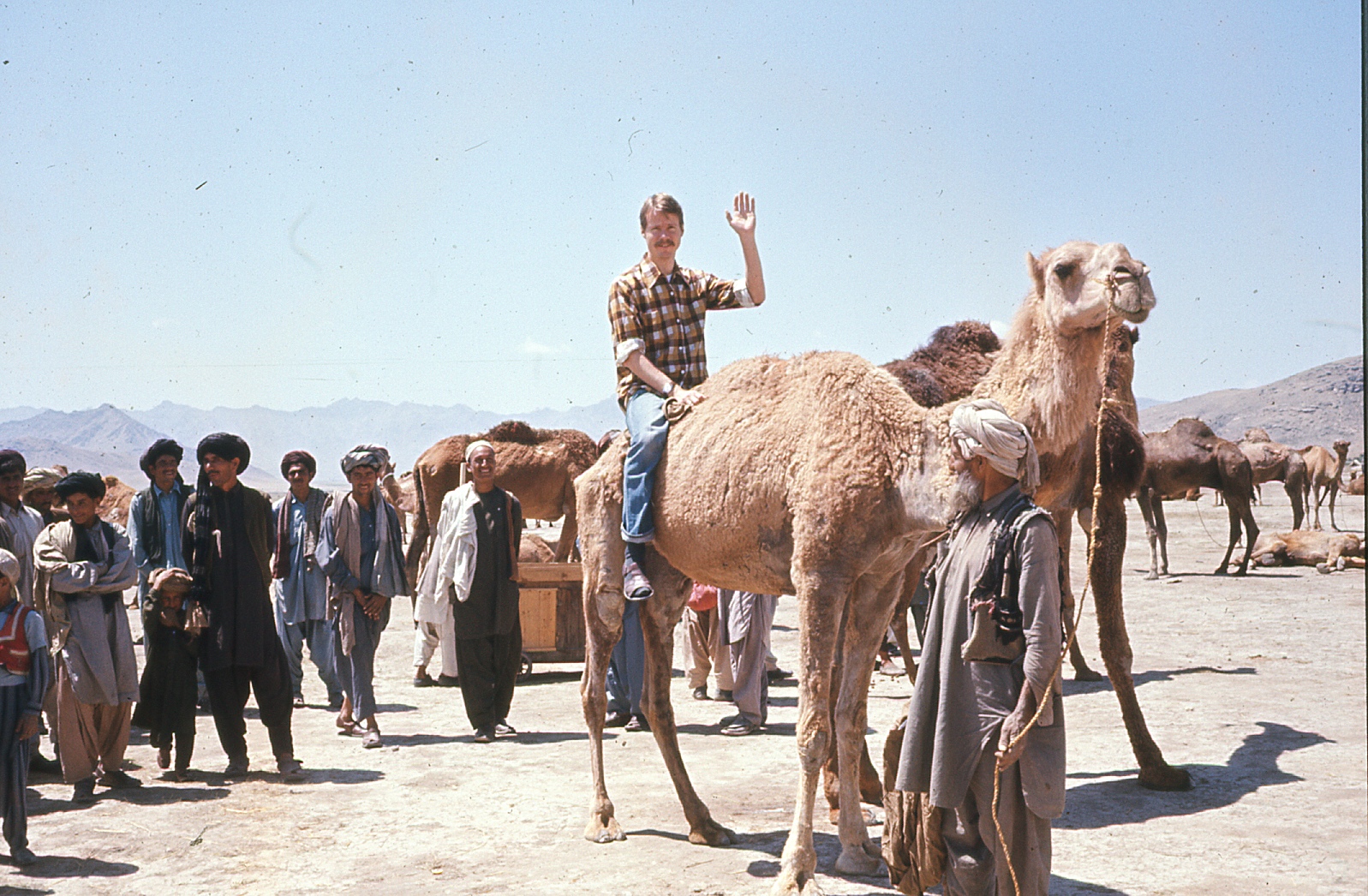 image: Mr. Monroe on a camel in Afghanistan, ca. 1977